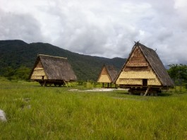  Rumah Tambi  Rumah  Tradisional Suku Lore Sulawesi Tengah