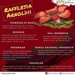 [Infografis] Rafflesia Arnoldii