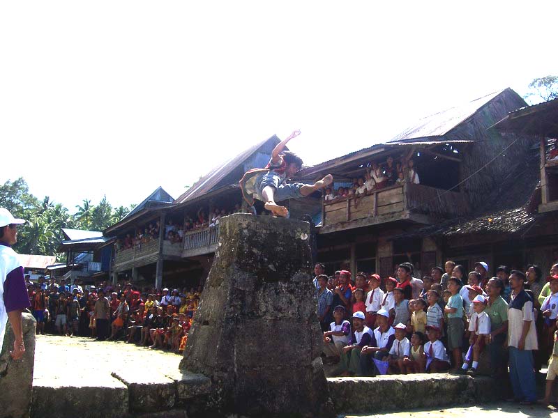 Rumah Tradisional Pulau Nias