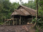 Rumah Panjang Mentawai dan Sistem Kehidupan Tradisionalnya