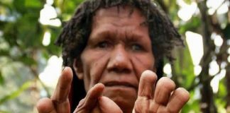 Tradisi Potong Jari Suku Dani Papua