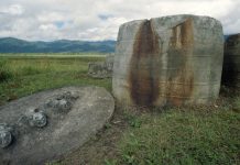 Kalamba di Situs Megalitik Pokekea di Lembah Behoa, Desa Hangira, Kecamatan Lore Tengah, Kabupaten Poso, Sulawesi Tengah