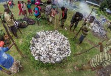 Tradisi Bakar Batu Papua