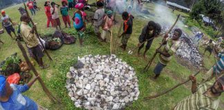 Tradisi Bakar Batu Papua