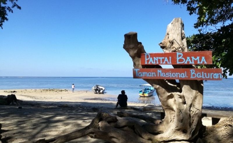 Pantai Bama di Taman Nasional Baluran