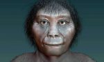 Wajah Homo floresiensis