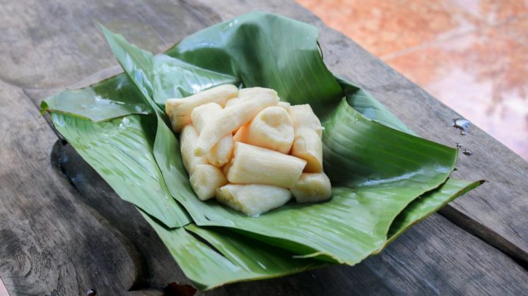 Tape Singkong, Makanan Tradisional yang Tak Lekang oleh Waktu