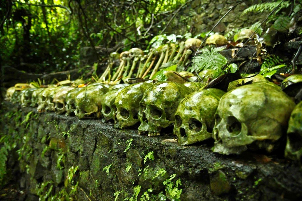 Tengkorak dan tulang-tulang yang ditata di pemakaman Desa Trunyan, Bali. (Foto: wisatabaliutara.com)