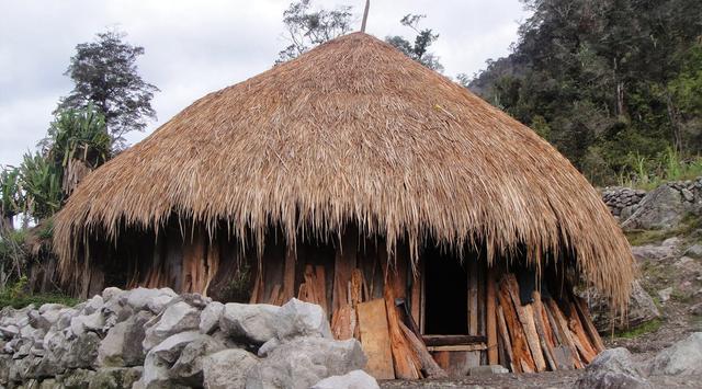 Honai, Rumah Adat Suku Dani di Papua (Foto: bintang.com)