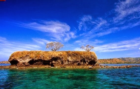 Pulau Ular di Bima, Nusa Tenggara Barat (Foto: wowwunik.blogspot.co.id)